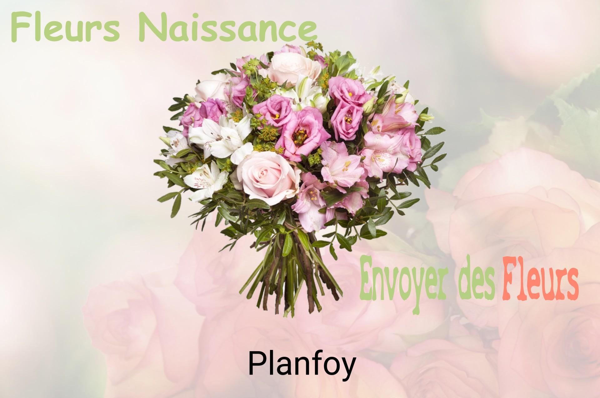 Bouquet de fleurs de naissance livré à Planfoy